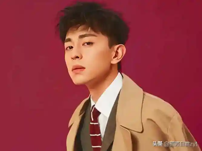 【明星科普】邓伦:流量明星的魅力与影响力_行业_逃税_成功