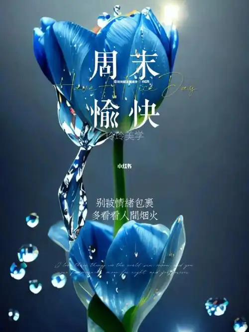 周末愉快周末海报周末小众高级文案