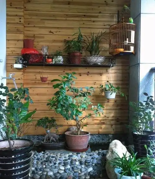 如果有一天,我想起要在阳台种花会是怎么样