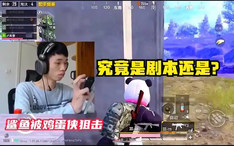 和平精英:鲨鱼连续两天被鸡蛋侠多次狙击,究竟是剧本还是?