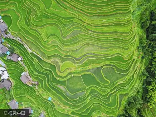 航拍贵州从江梯田 犹如大地指纹
