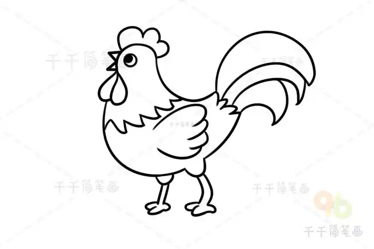 大公鸡简笔画画法步骤