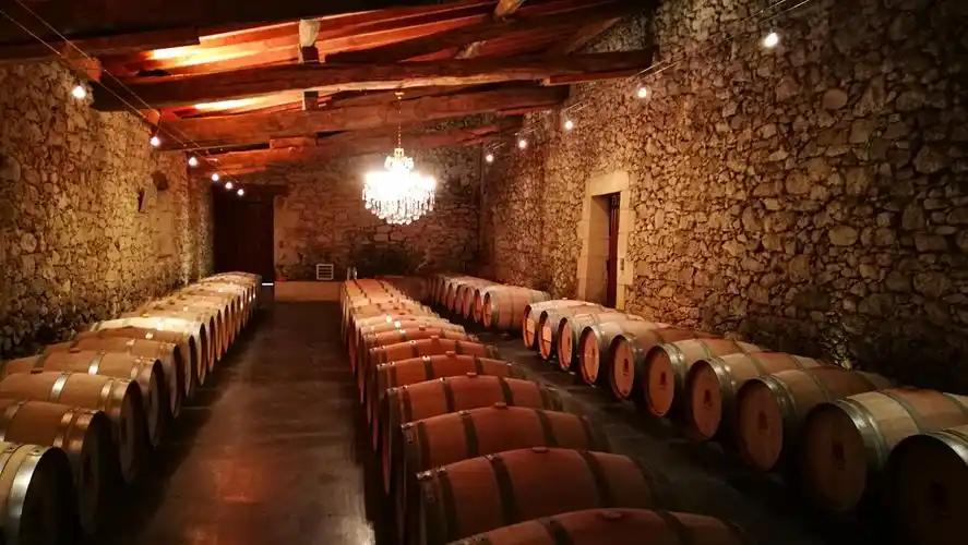 阿聪旅记拜访拉图拉甘酒庄老友记