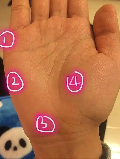 就是2,困扰我多年了…是智慧线还是事业线?智商不够还是事业不顺!