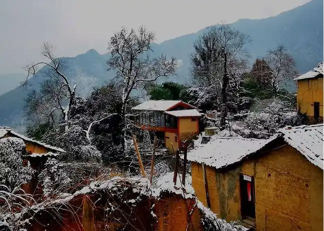 下雪了!一大波乡村雪景照等你欣赏