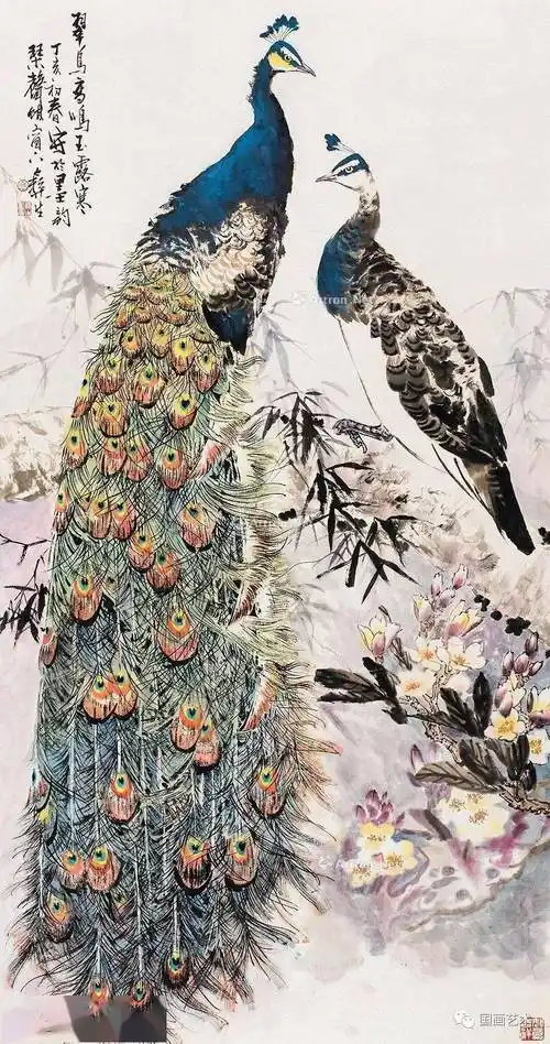 他画的孔雀太美啦!