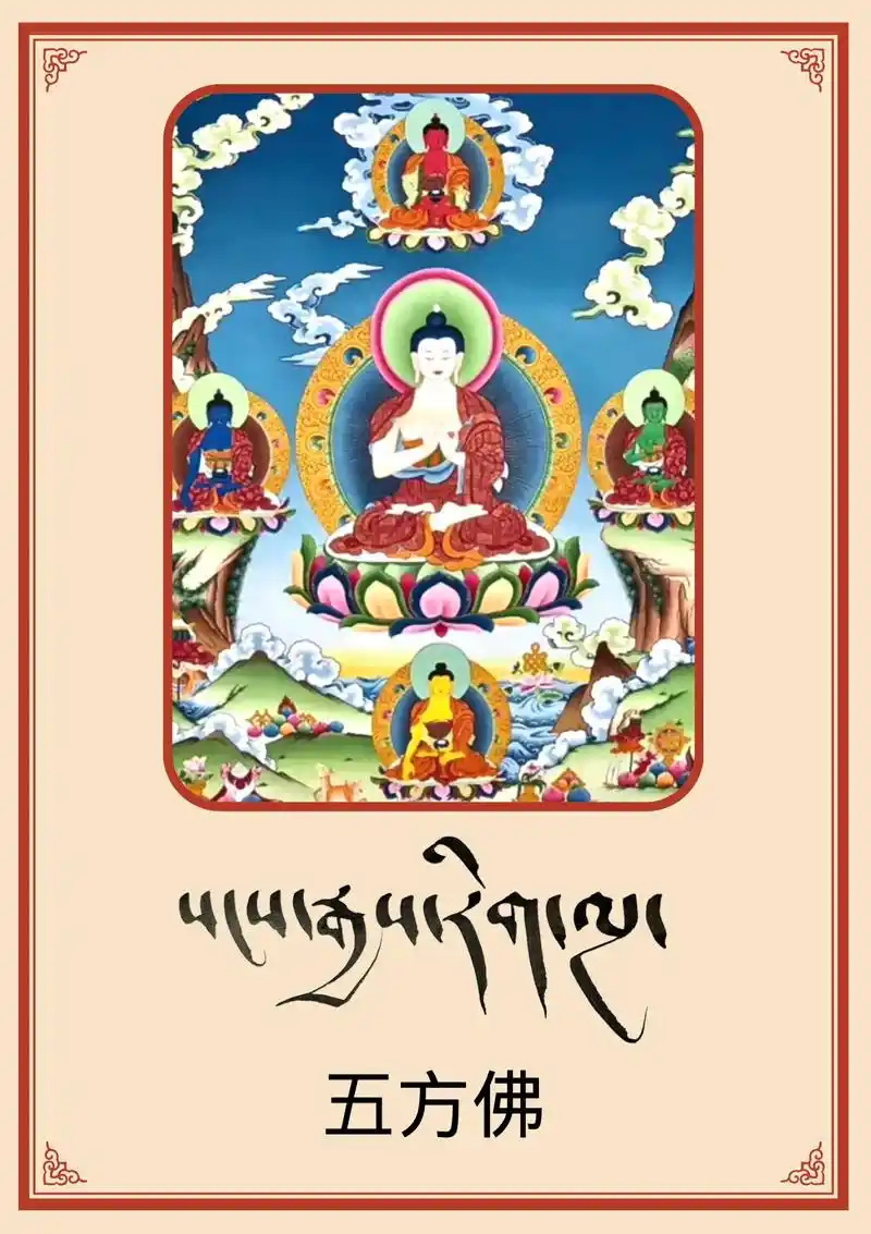 五方佛.#传承传统文化 #绿色视频传递正能量 #西藏加油中国 - 抖音