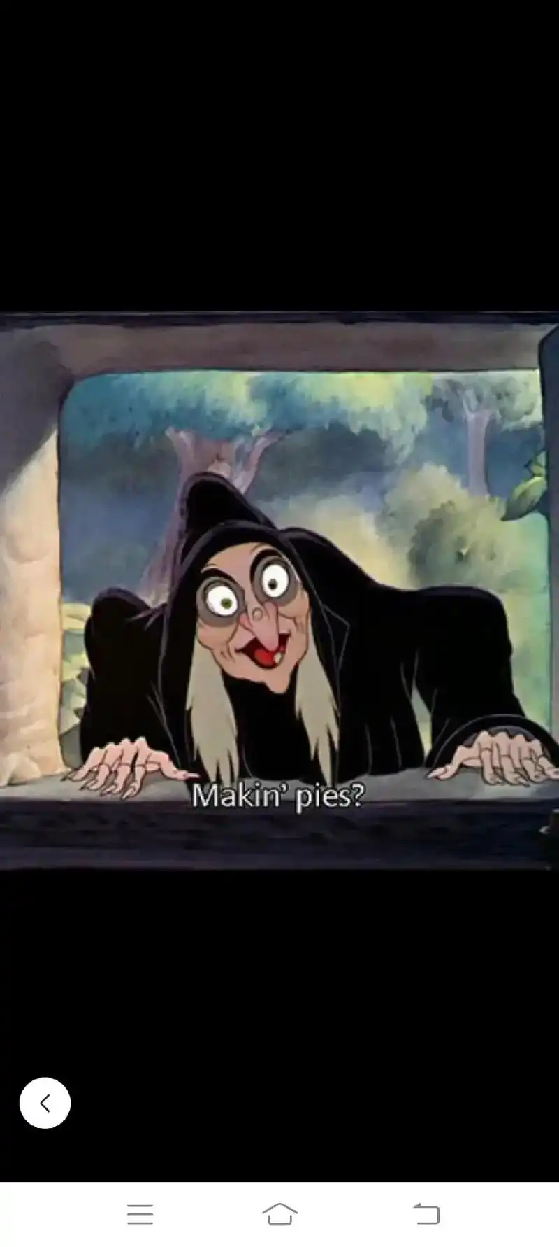 佩洛西这个老巫婆 - 抖音