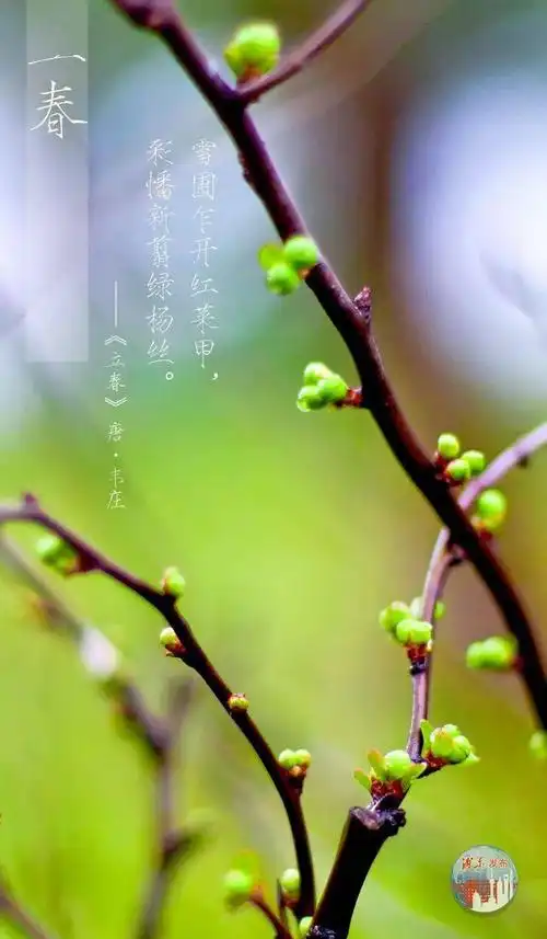 立春:冬去春来万物新生【爱申活暖心春】