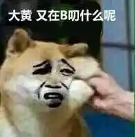 大黄,又不b叼什么呢?_大黄_什么表情