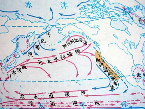 的太平洋寒冷洋流,由北太平洋洋流因为北美洲海岸线的关系而被分出来