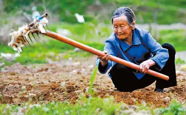 农村养老何去何从空巢老人面临独守空房困境