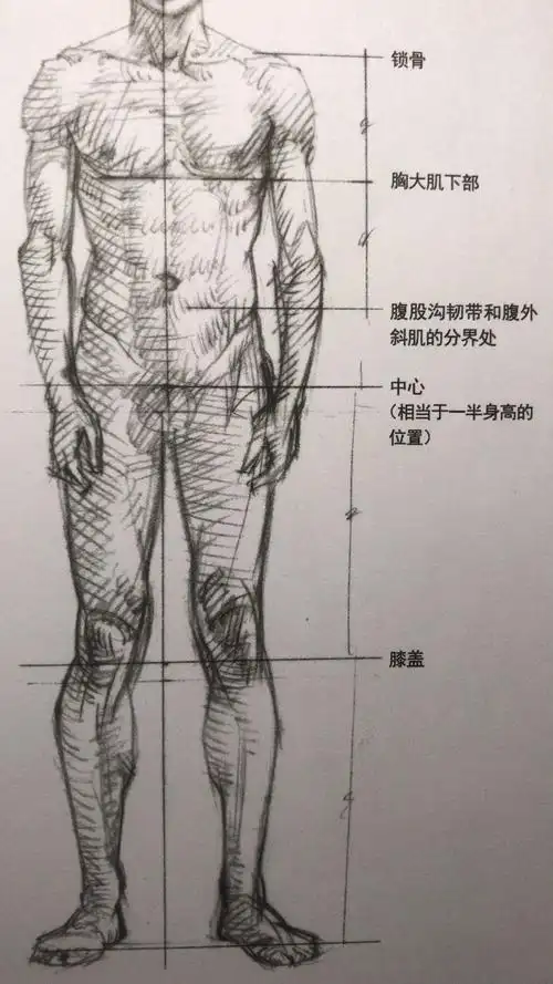 讲谈社famous school讲师20年经验揭秘:人体速写有哪些你想不到的高超