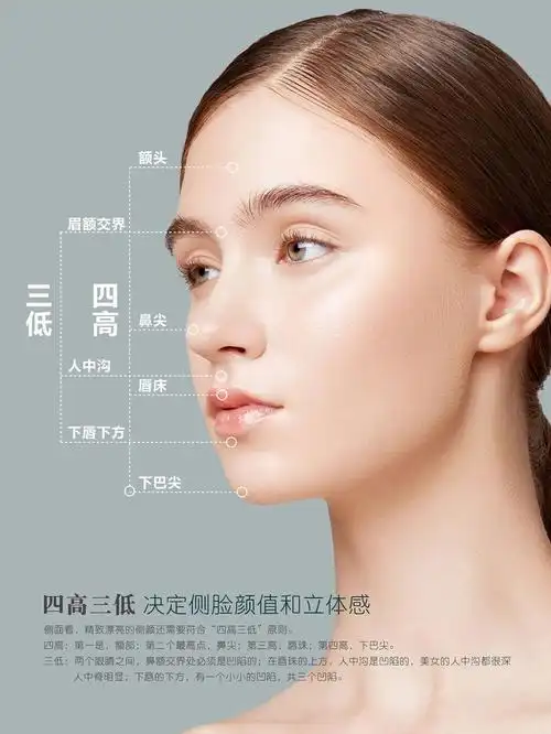 美学部位图面部美学美业面部比例图