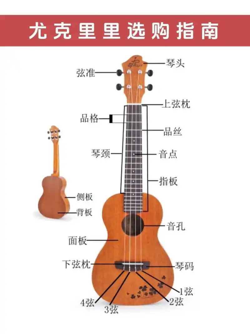 尤克里里选购指南
