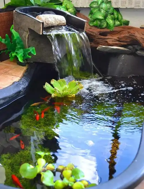 院子空着太浪费了!用旧砖块垒个景观池,左邻右舍羡慕疯了