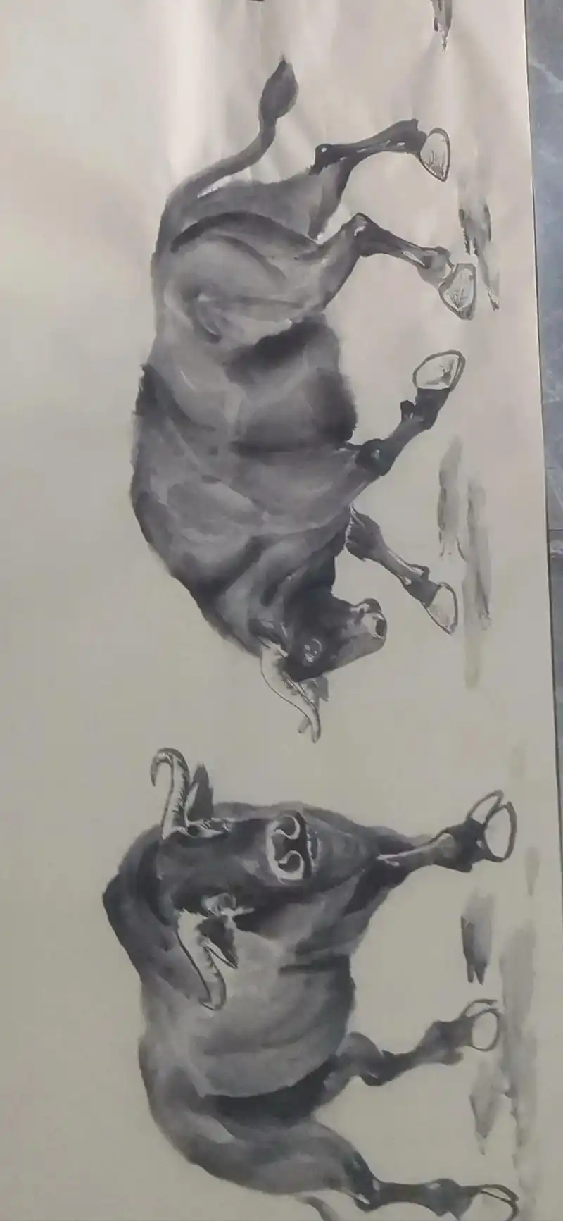 画画 #原创 #牛#国画动物#国画牛@热门话题 - 抖音