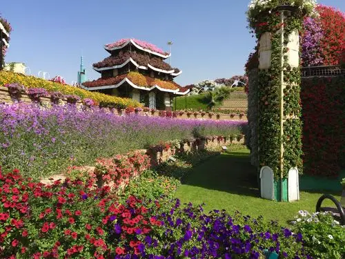 沙漠上最美的花园—-迪拜奇迹花园