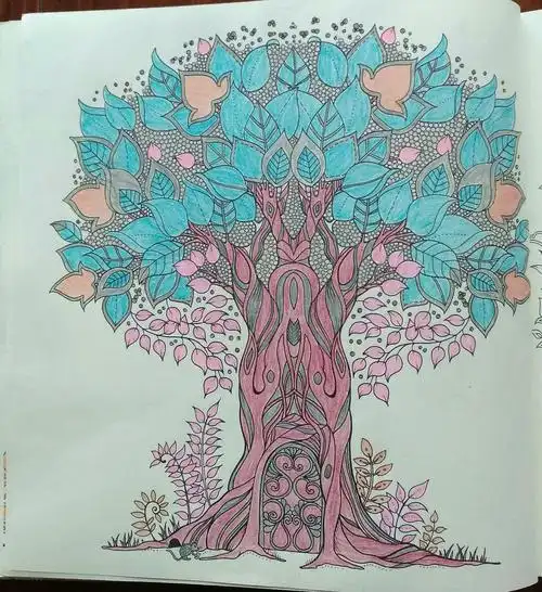 秘密花园2《魔法森林》涂者白京华