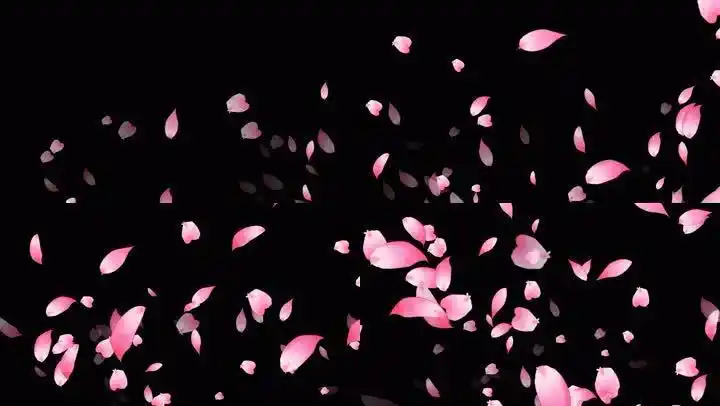 花瓣飘落带通道4k