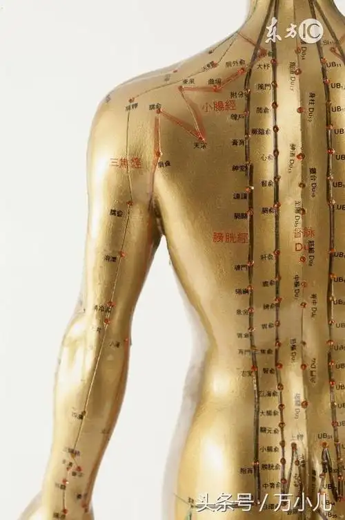 十二经络的走向动画图及不同病症的对治方法