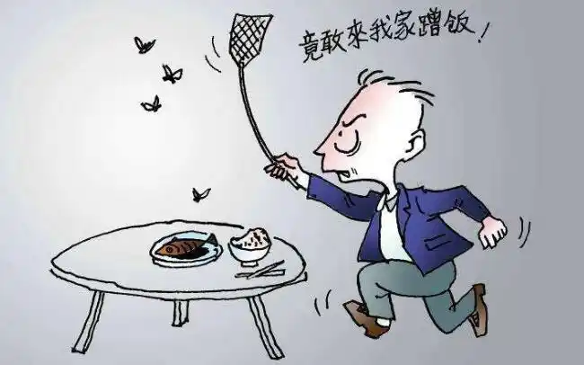 打苍蝇作文500字