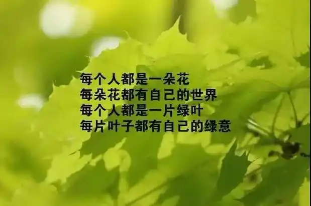 人生最经典的感悟(后半生,致自己!经典)