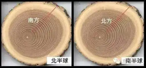 东南西北,还傻傻分不清楚吗?(辨别方向实用指南)