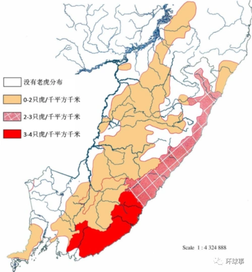 东北虎"完达山1号"45天后会失去野外生存能力?