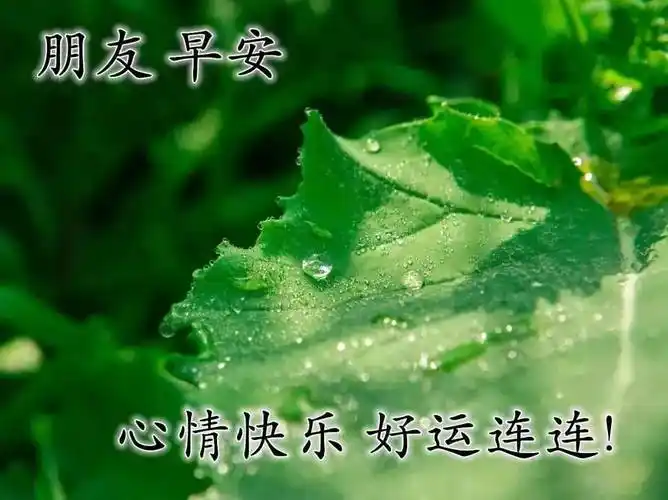 原创8张夏天最新漂亮风景早安图片带字带祝福语最美夏日风景早上好