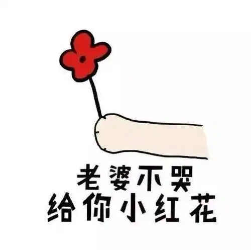 仓鼠哄女朋友必备表情包:乖不闹了好不好