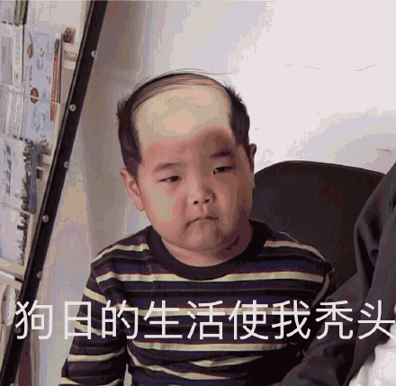 狗日的生活使我秃头(谢腾飞表情包)_秃头_腾飞_狗日_生活表情