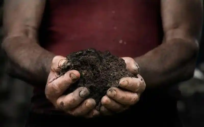 告急中国最珍贵的黑土正在加速流失