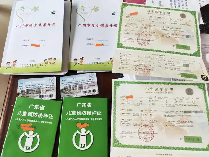 地下代孕市场调查:疫期订单增加,88万"包成功包性别"