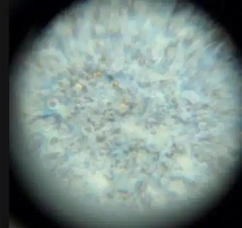 历经千年的高古瓷仅凭观气泡能否辨别真伪