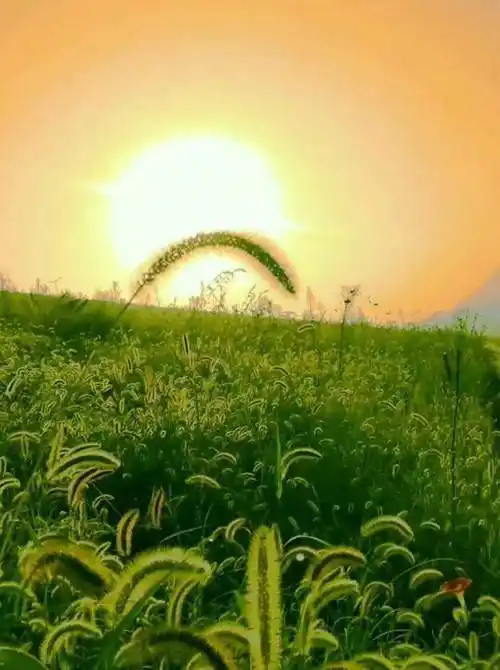 原创唯美清新的句子充满动力值得写在摘抄本上