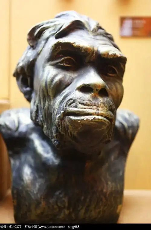 北京人的复原像