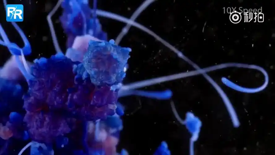 美到震撼!原来化学反应在镜头里这么有趣