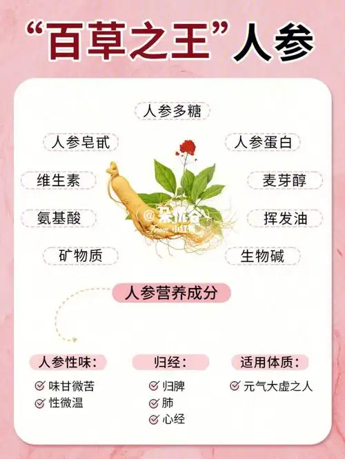 纯干货75一文看懂百草之王人参功效60