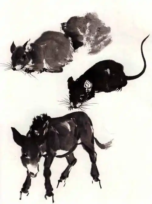 【国画教程】写意动物(畜兽)的笔墨与形式_结构_斑纹_特征