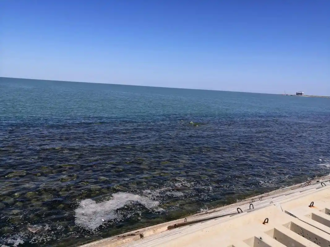 潍坊周末一日游 滨海北海赶海 95位置在北海路与海景路路口 95在