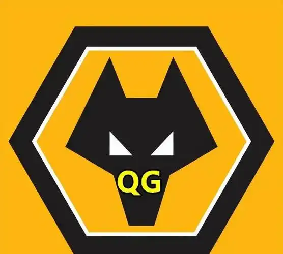 瓜主爆料:qg确定改名,新队标已提前出炉,从此再无"战至终章"