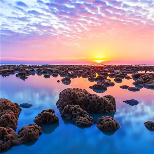 抖音图片最火头像风景