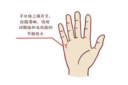 一,怎么看手上子女线