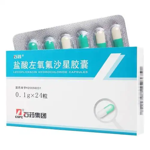 石药盐酸左氧氟沙星胶囊01g24粒盒