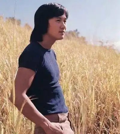 许冠文四兄弟许冠文个人资料简介