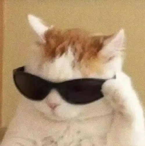 她的群昵称是"群里恶霸",头像是一个(下图)酷酷的戴墨镜猫猫头像