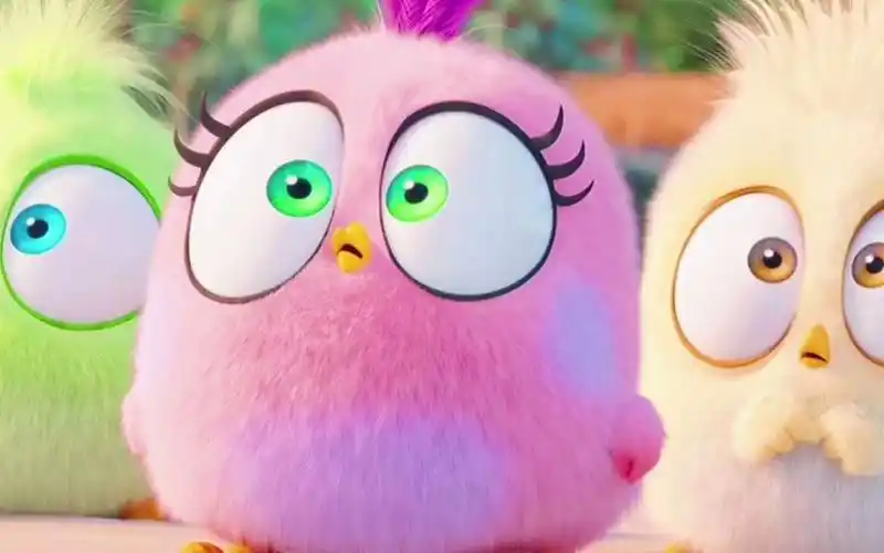 【愤怒的小鸟】谁能送我这么可爱的三只鸡崽子啊