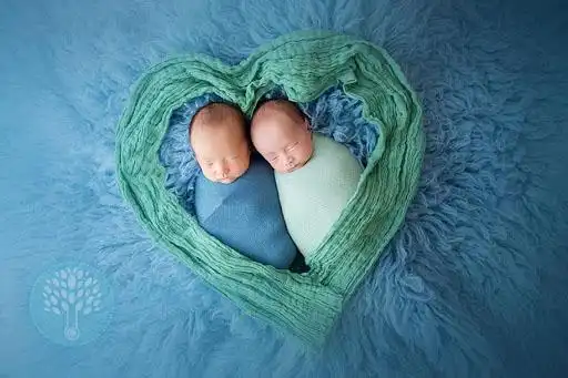 目前全球每年新生儿中,双胞胎及多胞胎的产出率在一些出生率高的国家