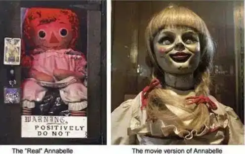 安娜的橱窗背后的故事是什么样的安娜的橱窗讲的什么